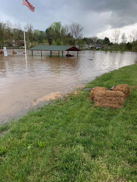 Flooded park.jpg
